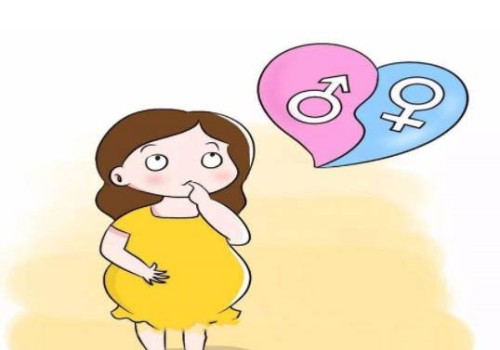 胎停胚胎送检的价格如何？费用构成和注意事项曝光