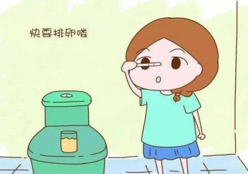 卵泡一直不长怎么办，原因可能和这些有关